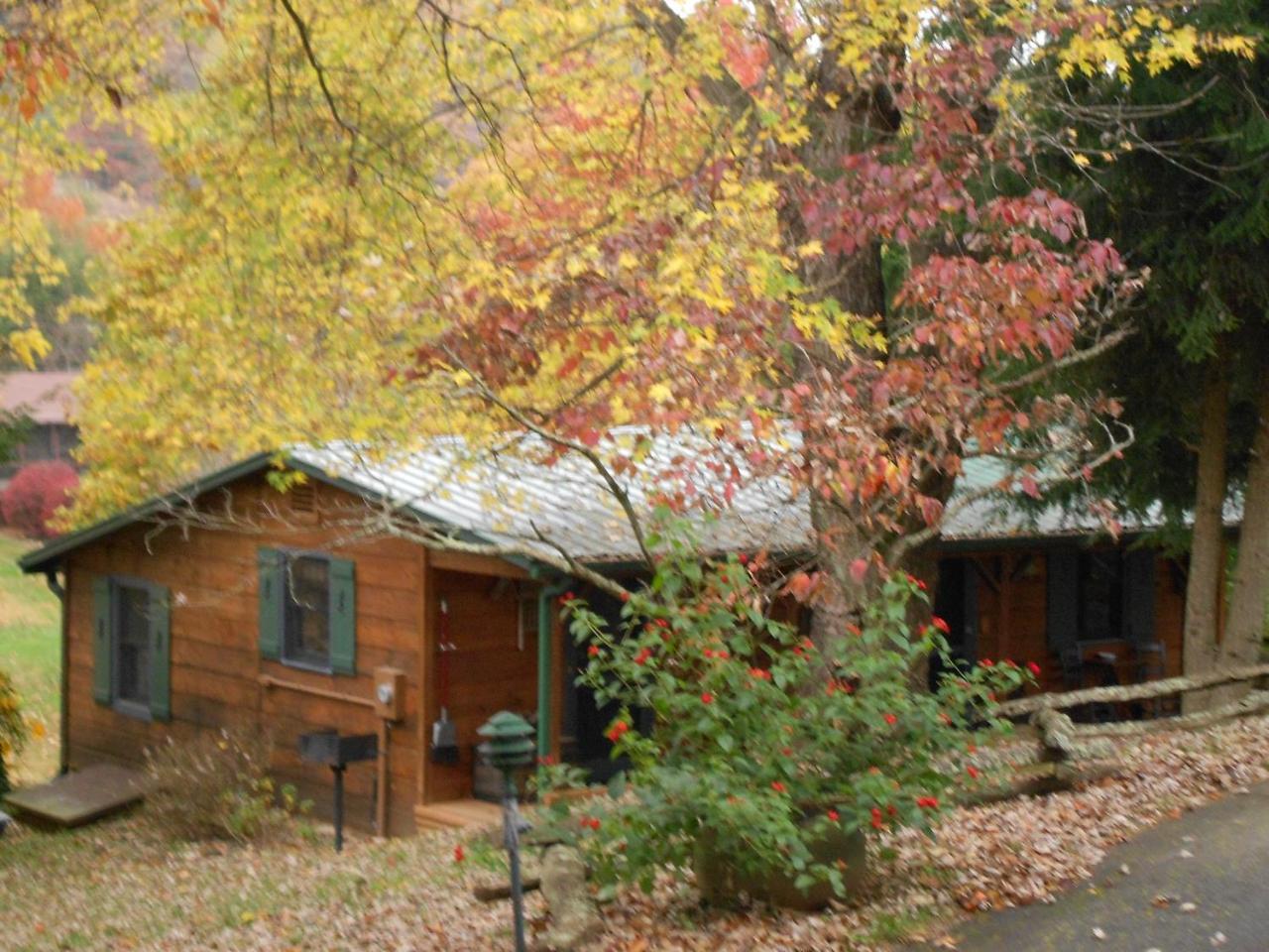 Mountain Springs Cabins Candler Dış mekan fotoğraf