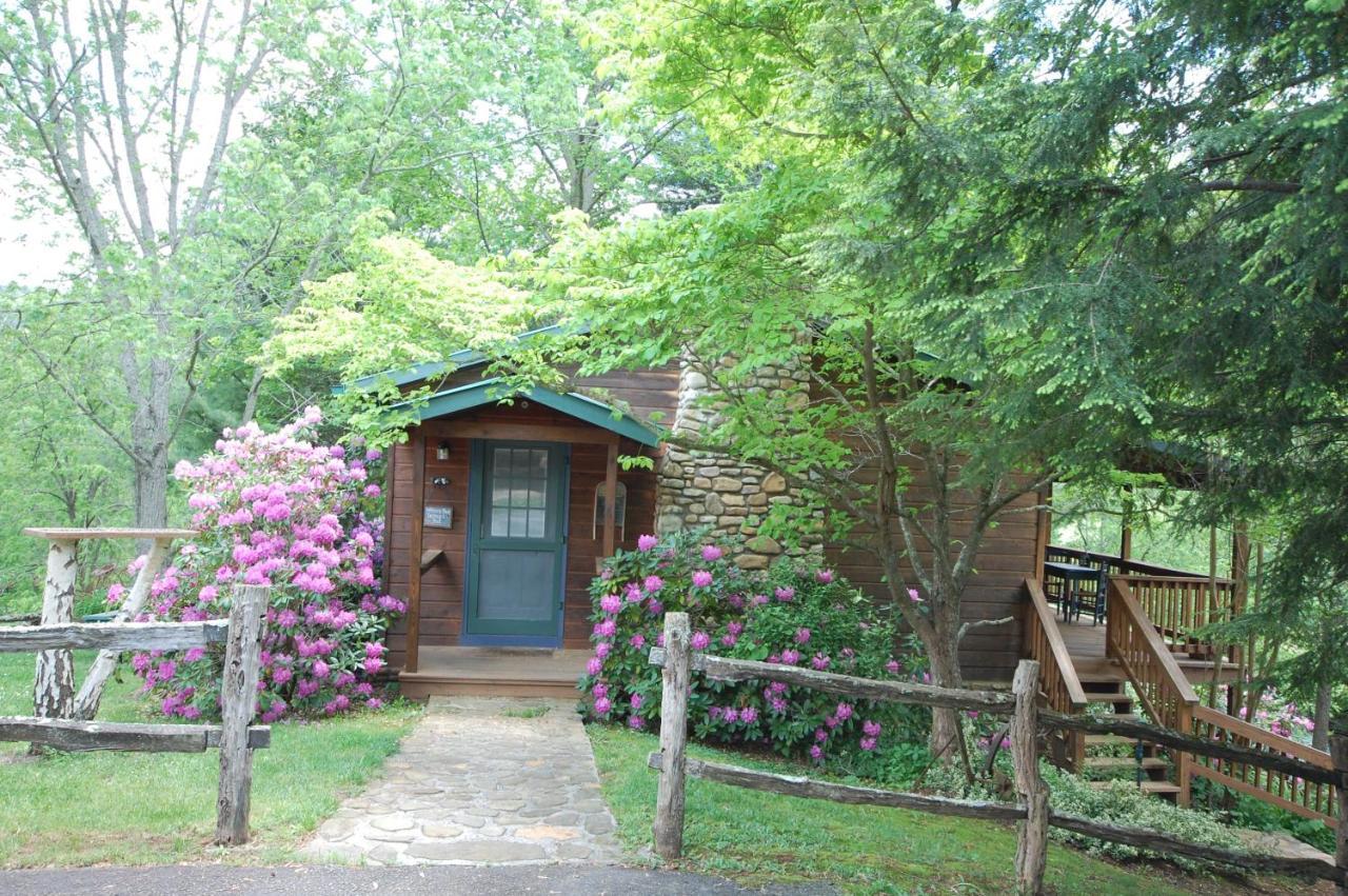 Mountain Springs Cabins Candler Dış mekan fotoğraf