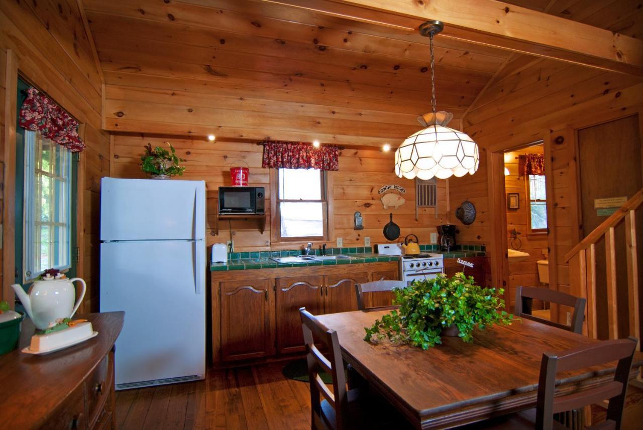 Mountain Springs Cabins Candler Dış mekan fotoğraf
