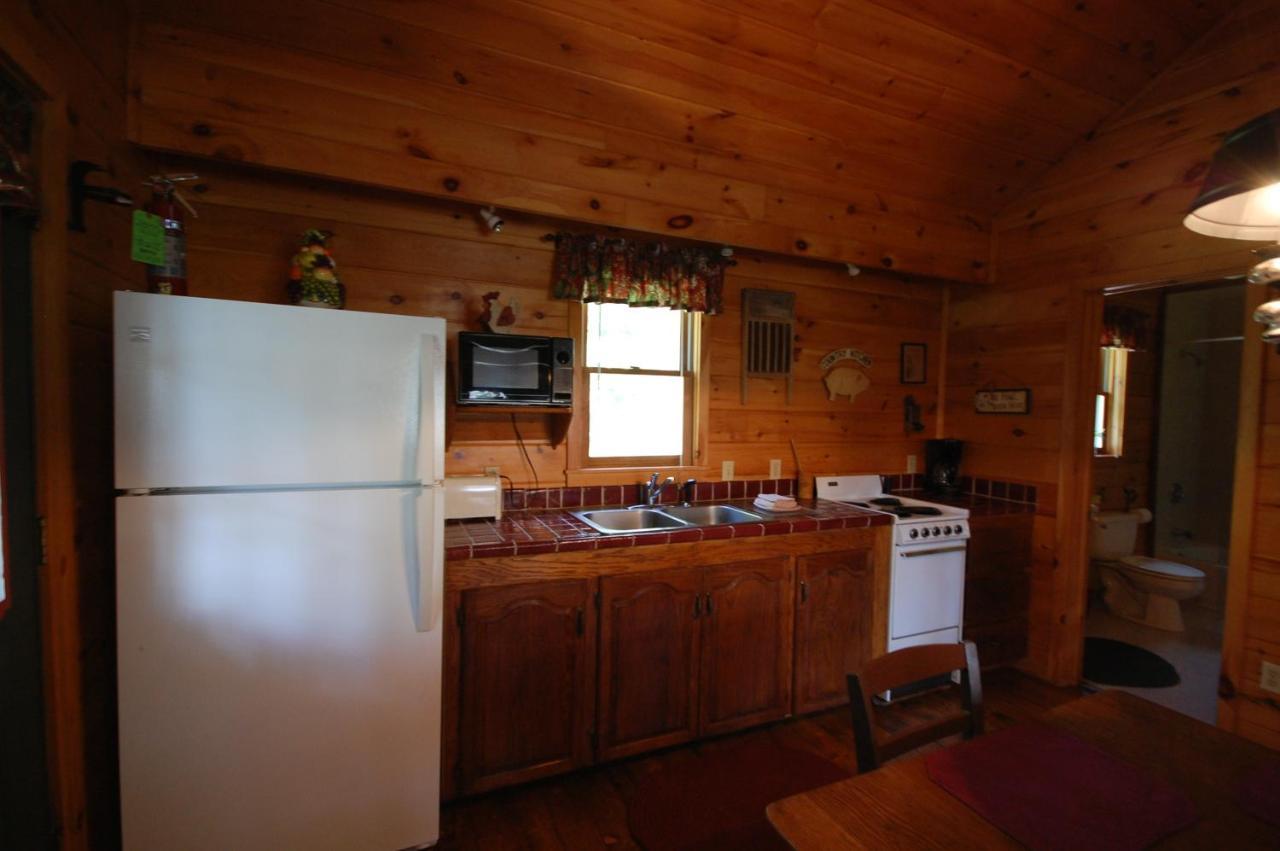 Mountain Springs Cabins Candler Dış mekan fotoğraf
