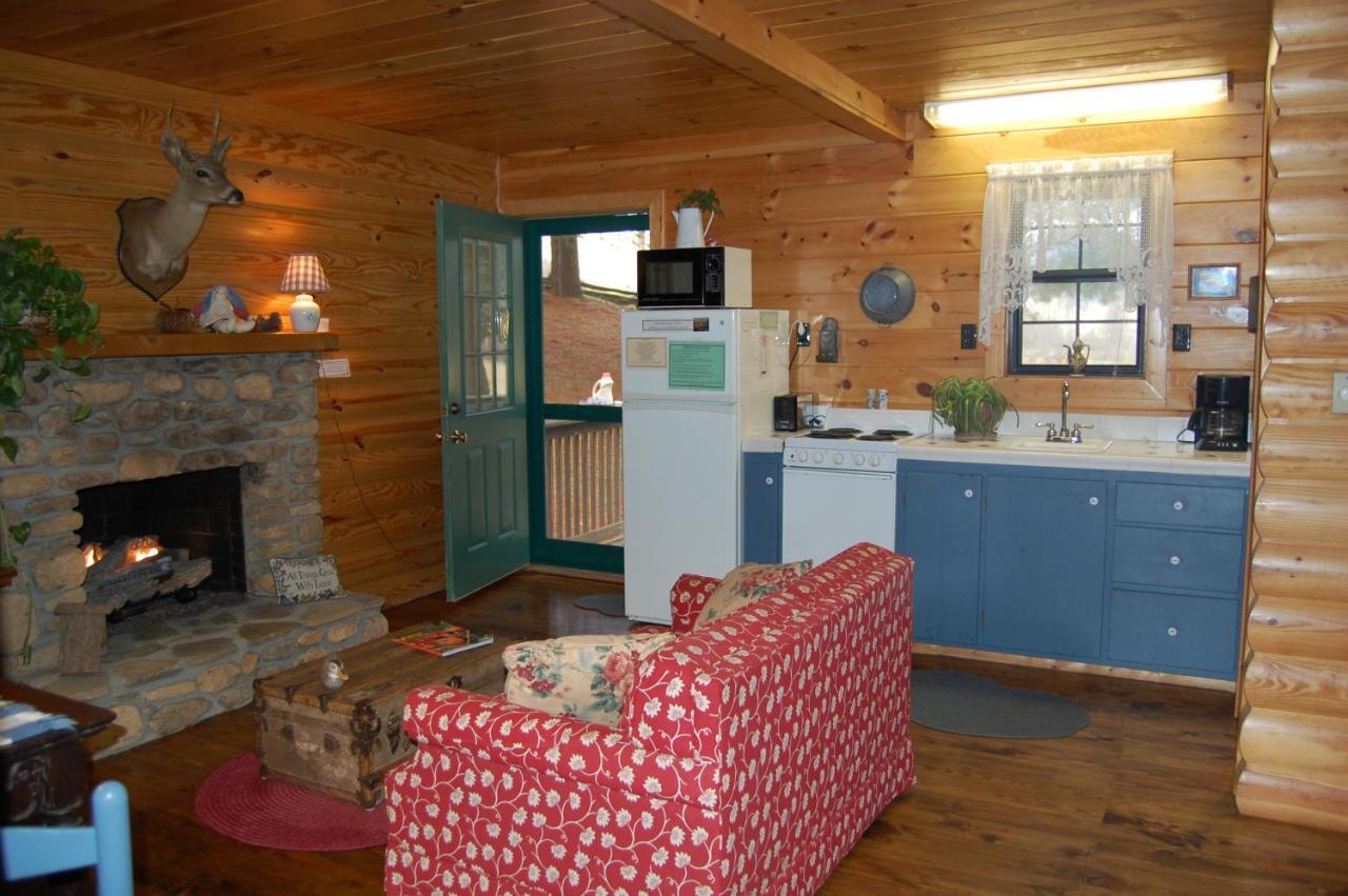 Mountain Springs Cabins Candler Dış mekan fotoğraf