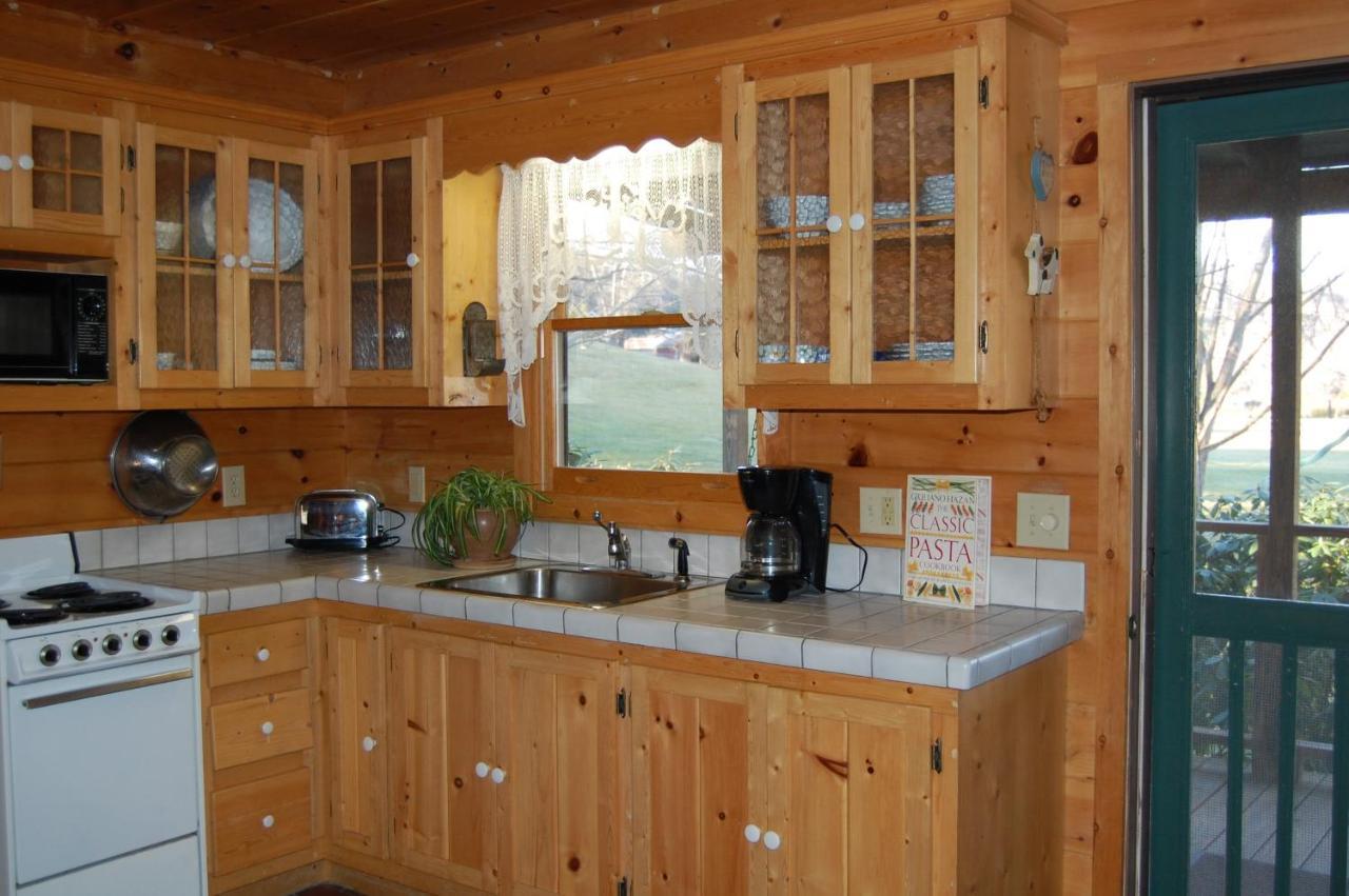 Mountain Springs Cabins Candler Dış mekan fotoğraf