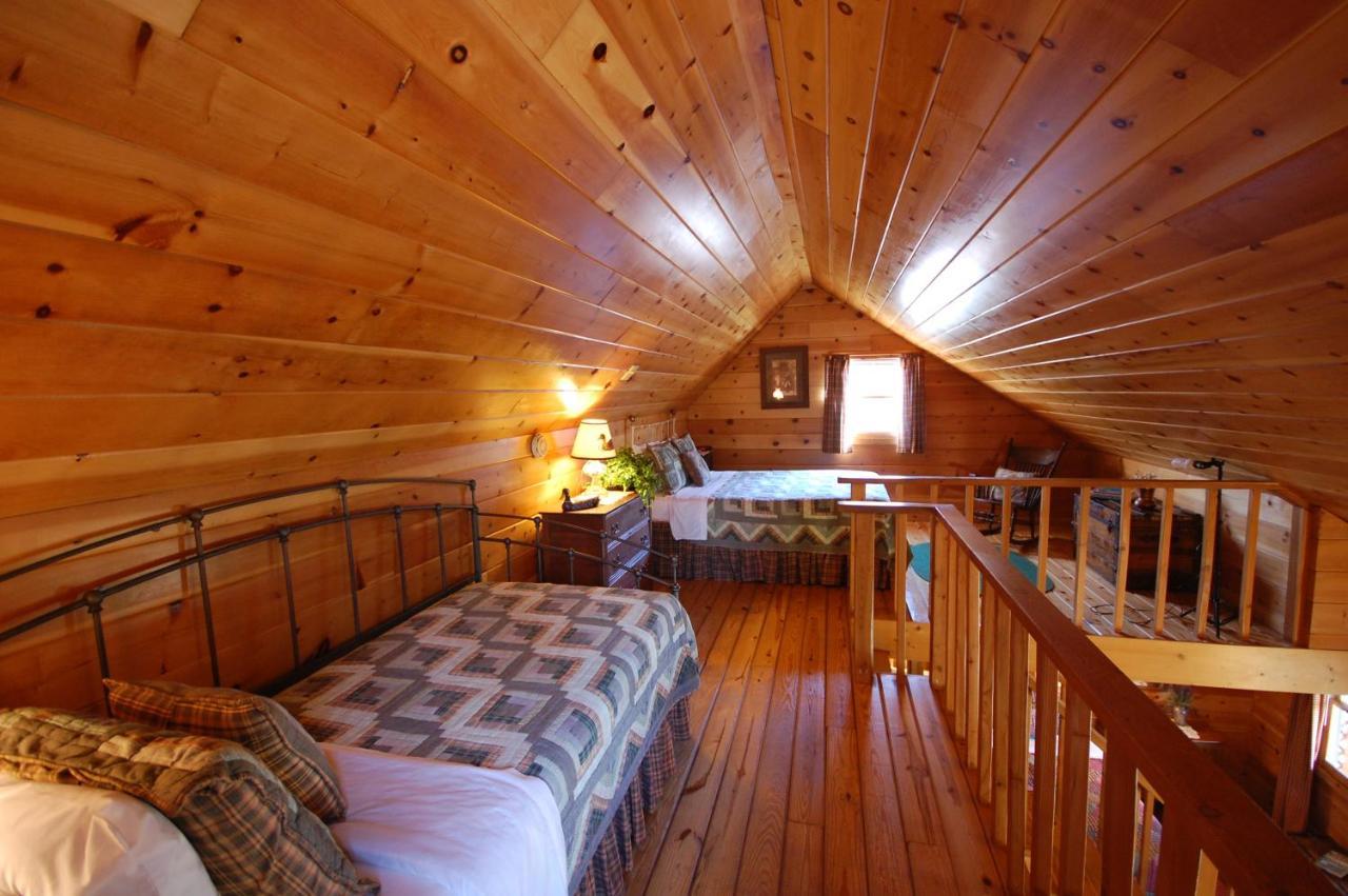 Mountain Springs Cabins Candler Dış mekan fotoğraf