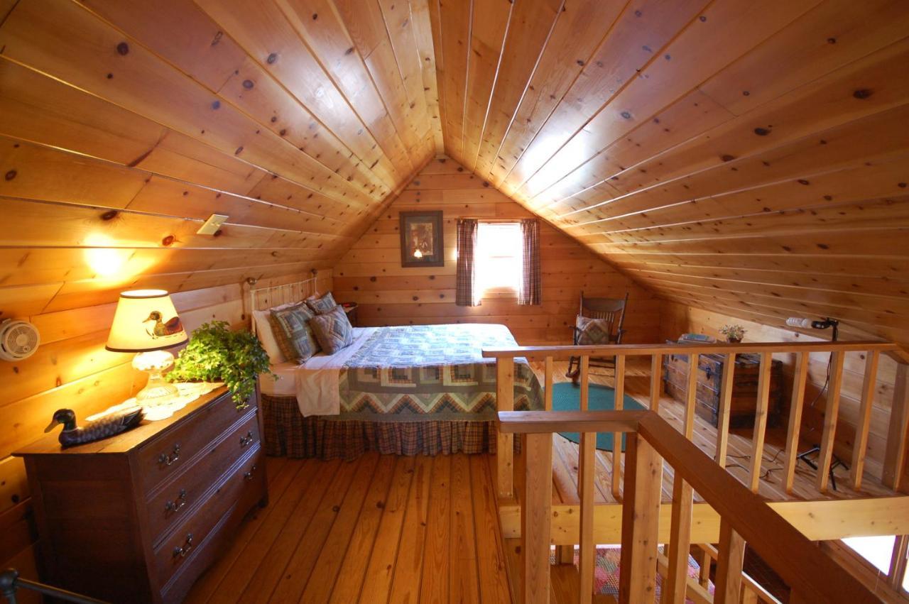 Mountain Springs Cabins Candler Dış mekan fotoğraf