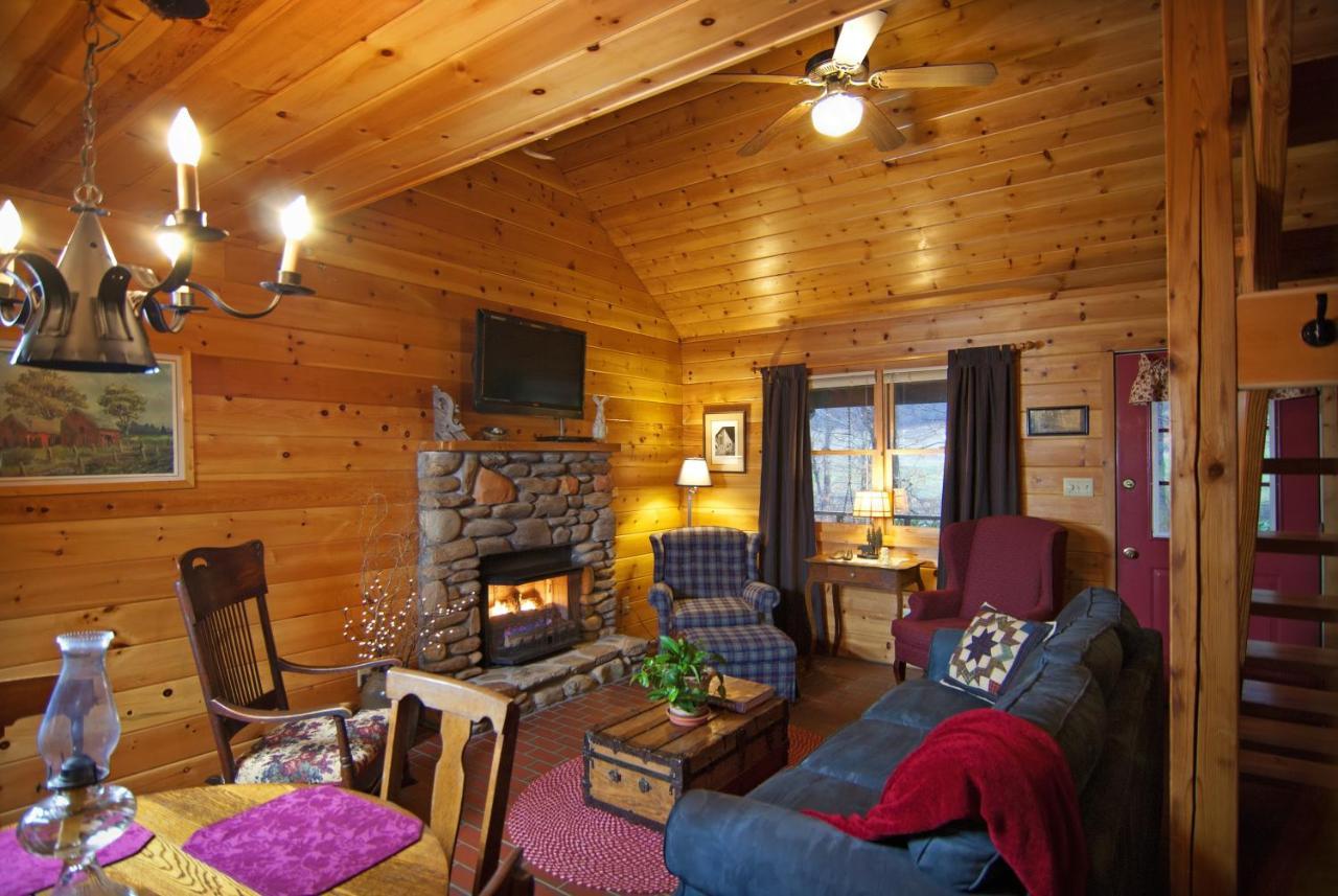 Mountain Springs Cabins Candler Dış mekan fotoğraf