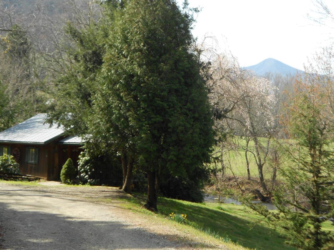 Mountain Springs Cabins Candler Dış mekan fotoğraf